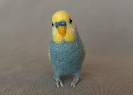 約1/2サイズセキセイインコ