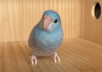 お客様専用約1/2サイズビセイインコ