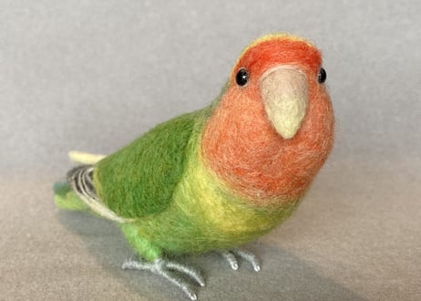 お客様専用約1/2サイズコザクラインコ×2