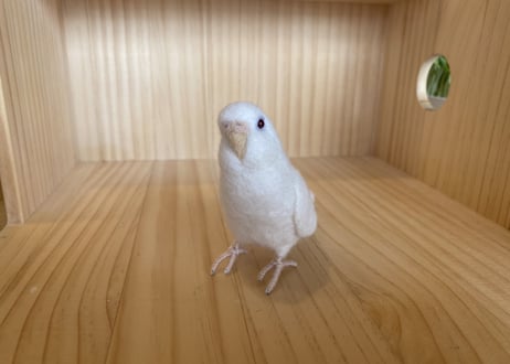 お客様専用約1/2サイズセキセイインコ３体