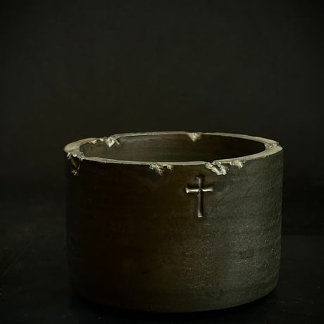 kisuの販売ページとなります 3株 販売 高級 コピアポア レア株 kisu様専用の販売ページとなります 3株 販売 高級 コピアポア レア株