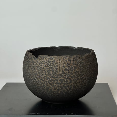 copiapoa | STORES
