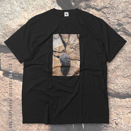 コピアポアシネレア黒王丸 | STORES