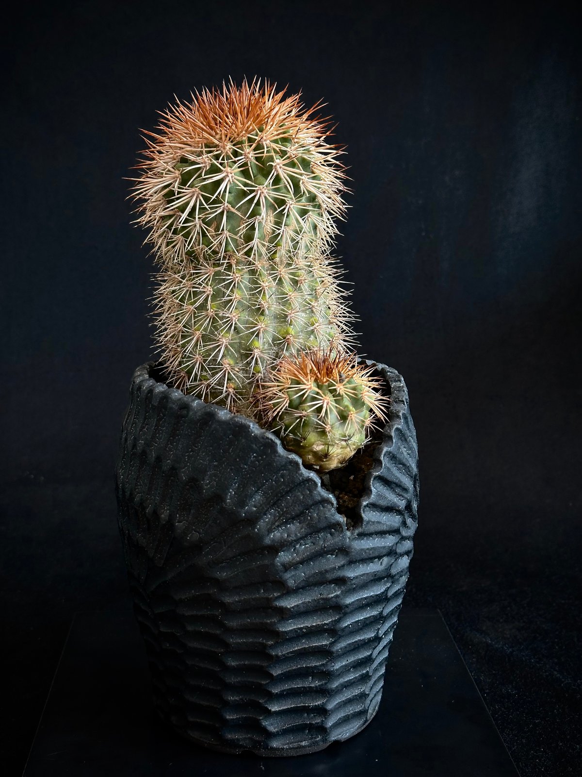 炭水化物様ゼルダ＆カービィ カービィ】0²(ゼロツー)のアクアリウム作ってみた【粘土