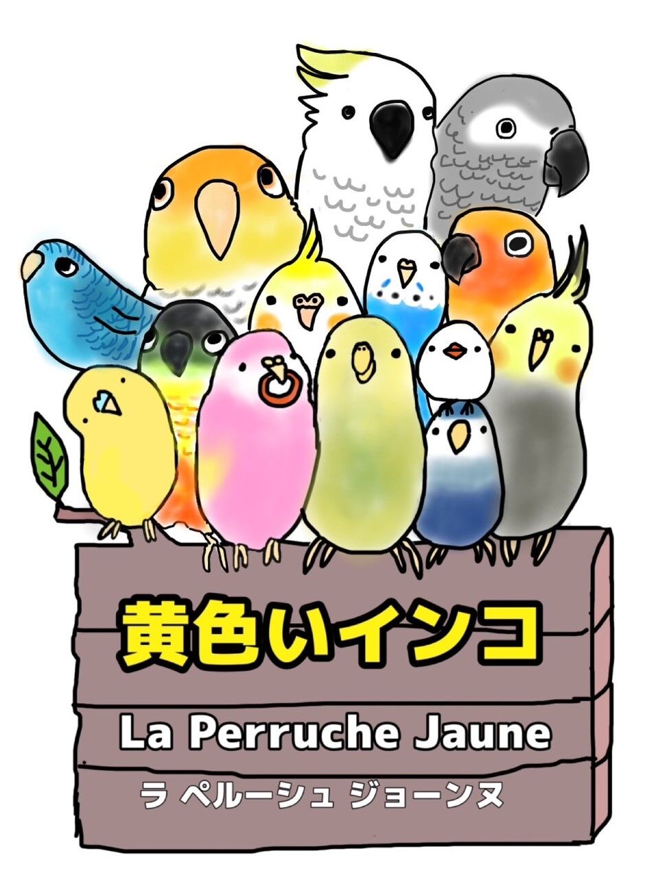 黄色インコSTORE