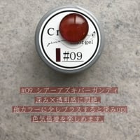 Créergel　#09 シアーアズキバーガンディ