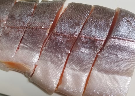 送料無料　Myサーモンプロジェクト　三倍体ニジマス稚魚30匹+飼育飼料10kg