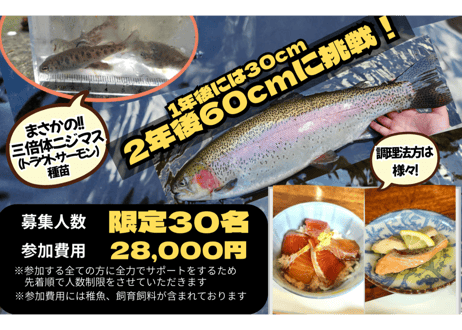送料無料　Myサーモンプロジェクト　三倍体ニジマス稚魚30匹+飼育飼料10kg