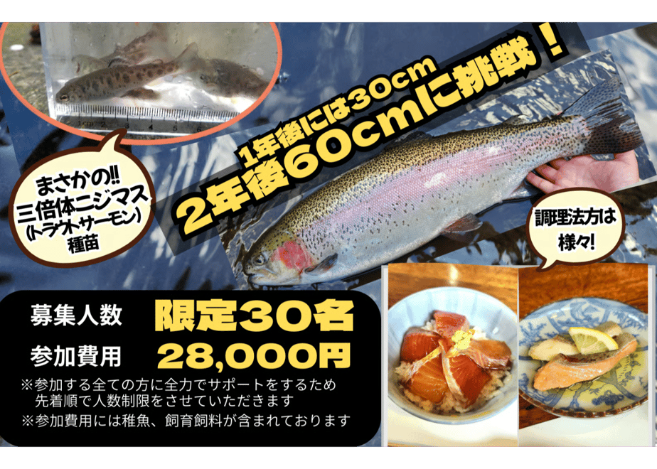 69ae93e1fe926015b9776a13