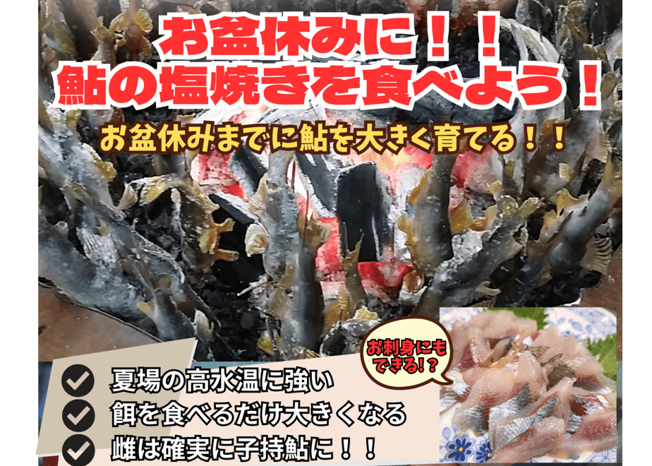 69fd3625173c4a08afe165ba