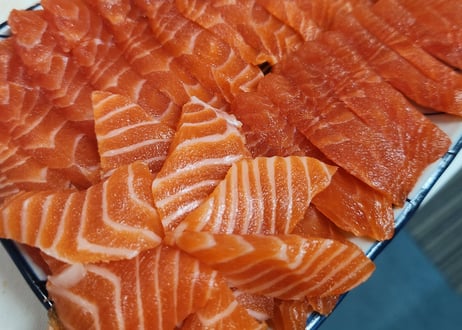 送料無料　Myサーモンプロジェクト　三倍体ニジマス稚魚30匹+飼育飼料10kg