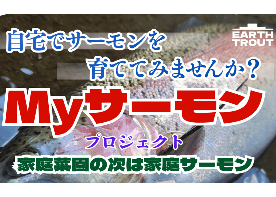 69ae93e1fe926015b9776a13