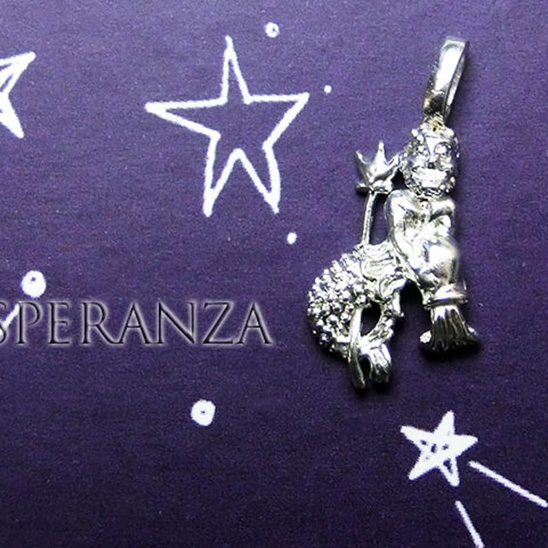 2個】シルバー12星座チャーム【水瓶座】みずがめ座 | eSPERANZA