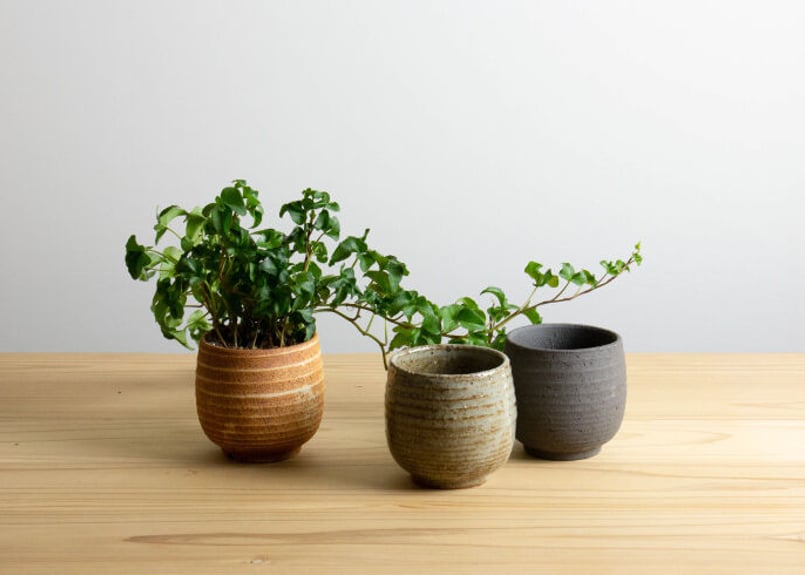植木鉢 丸 茶 | かもしか百貨店 オンラインストア 植木鉢 丸 茶 | かもしか百貨店 オンラインストア