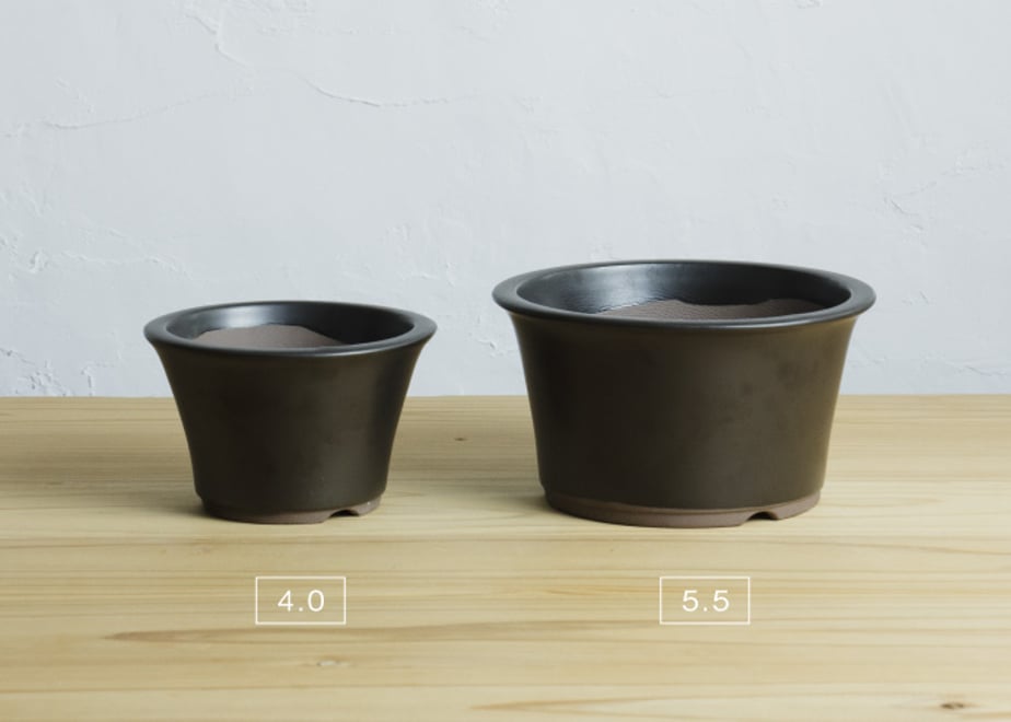 64e99176835a672c774f5456