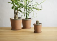 かもしかソーサー　赤土