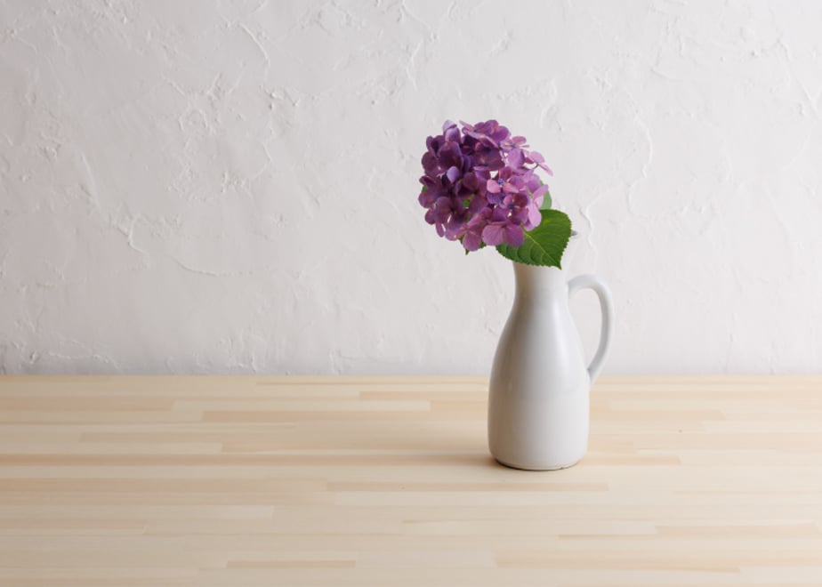 66a49e6eaf9b6b0d5ef9aa0c