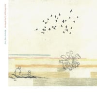 【CD】Jean-Philippe Collard-Neven / Between The Lines