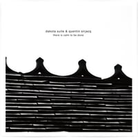 【CD】dakota suite &  quentin sirjacq /   there is calm to be done（国内盤）