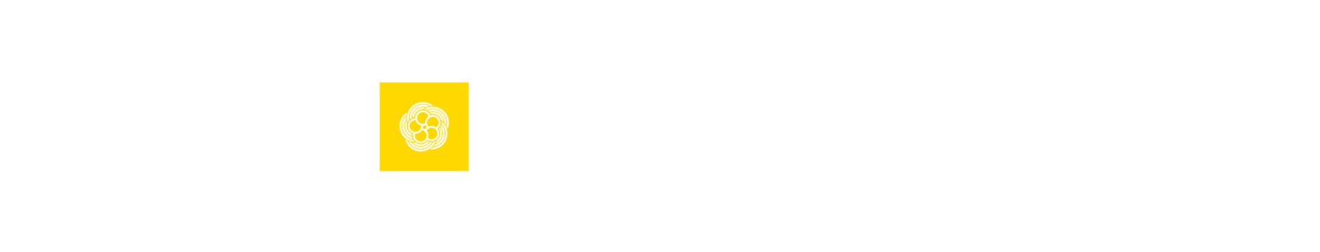紙の急須と茶の葉