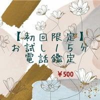 ※初回限定※お試し１５分 電話鑑定