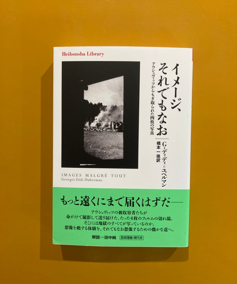 イメージ、それでもなお アウシュヴィッツからもぎ取られた四枚の写真