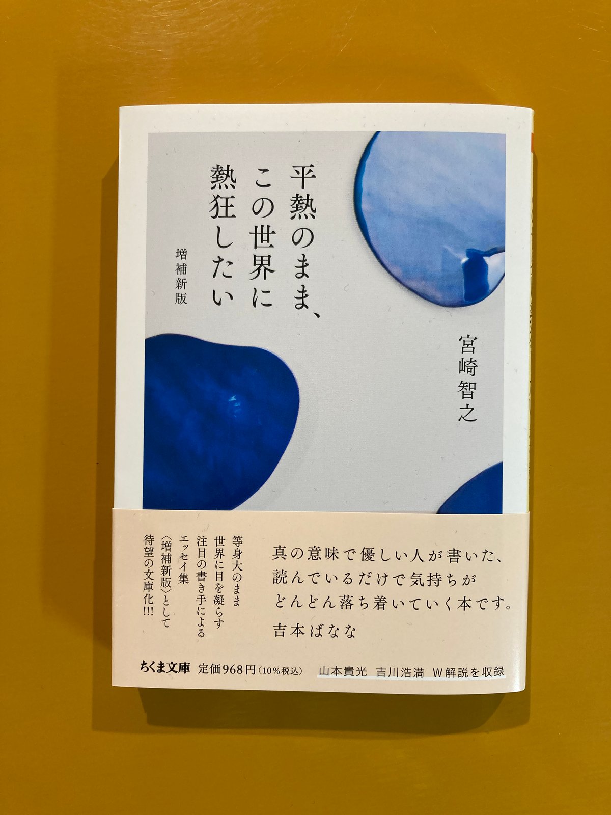 平熱のまま、この世界の熱狂したい　増補新版