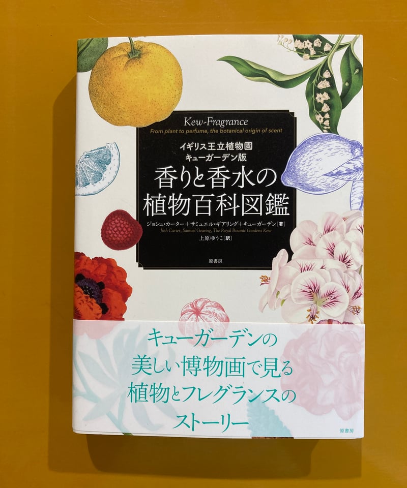 世界で一番美しい種子図鑑 : キュー王立植物園公認 世界で一番美しい種子図鑑 : キュー王立植物園公認 Amazon.co.jp