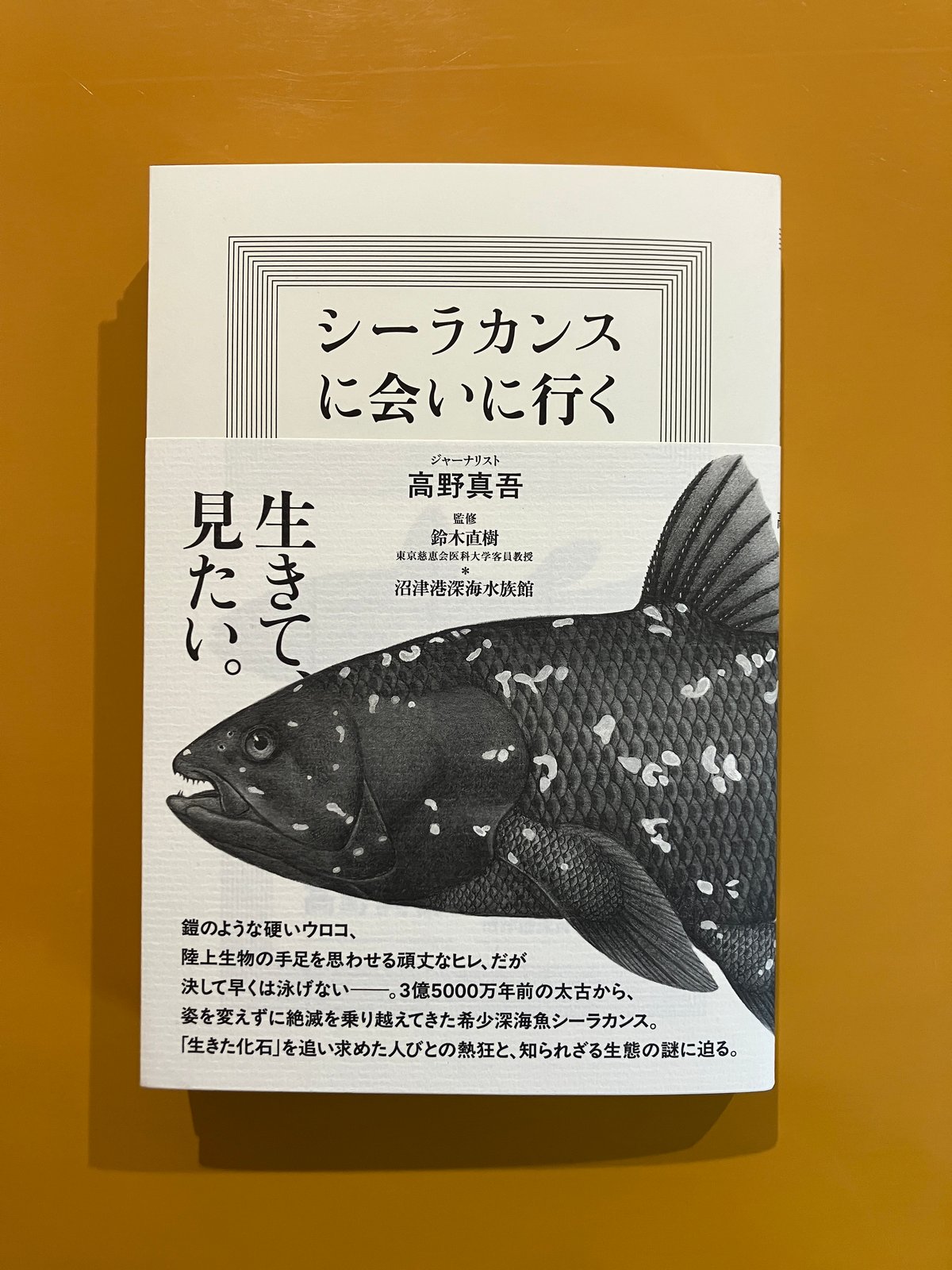 シーラカンスに会いに行く | 葉々社 BOOKS&PUBLISHING