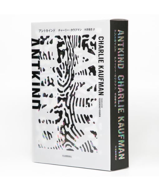 ★非売品◆サインCD◆ソン・ガイン◆ガイン;月 Amazon.co.jp: 超！！ サイン色紙 グループ 甲斐バンド 甲斐