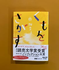 くもをさがす（文庫版）