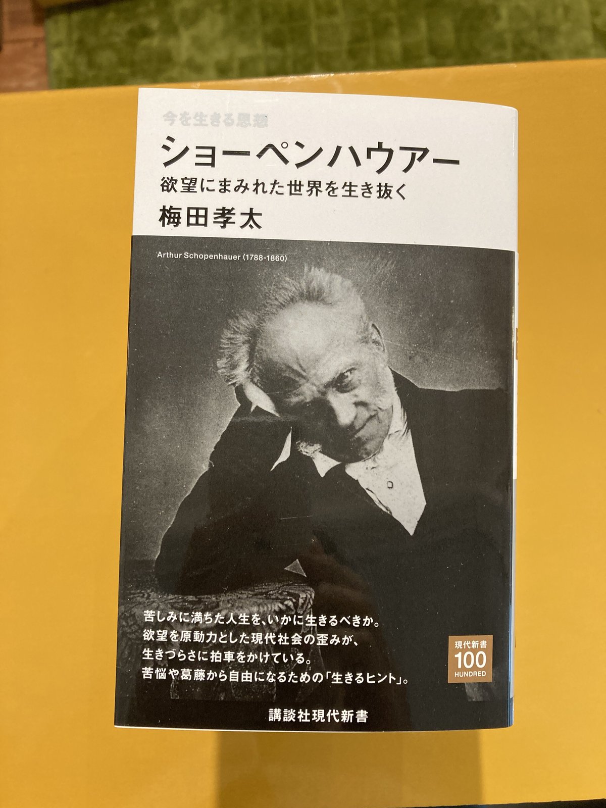 ショーペンハウアー 今を生きる思想 | 葉々社 BOOKS&PUBLISHING