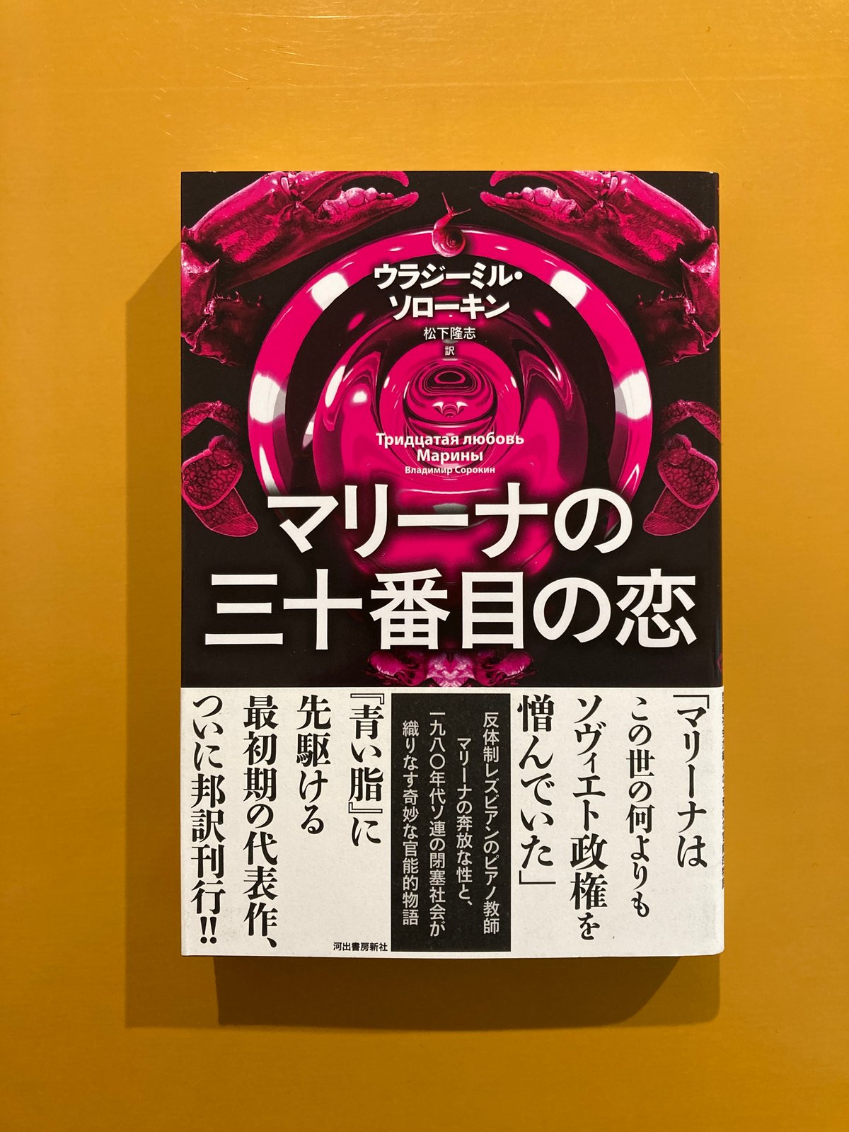 日本の妖怪変化 ドイツ版 日本の妖怪変化 ドイツ版 n24012107〇風俗研究