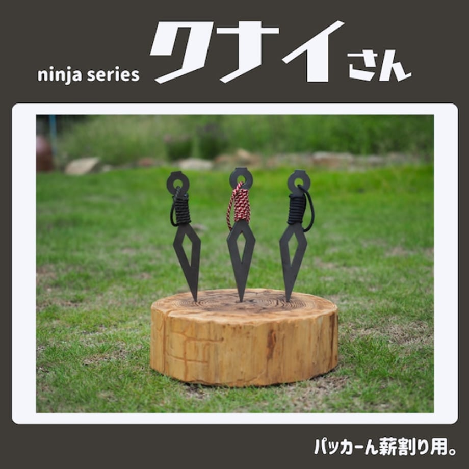 65f25b6cd356f70035a8e112