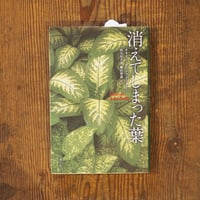 消えてしまった葉
