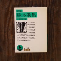新編　啄木歌集