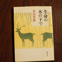 生命の木の下で
