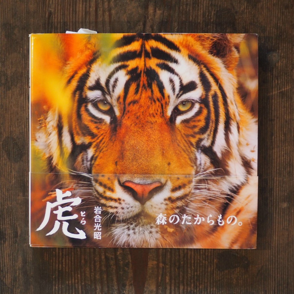 虎 | HIBIUTA ONLINE SHOP