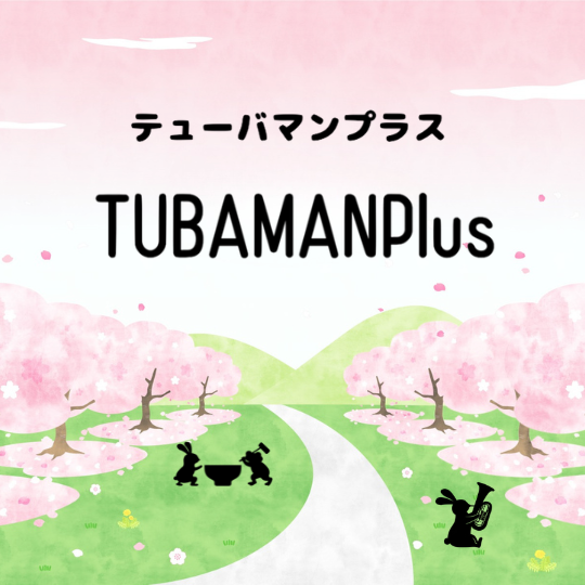 CATEGORY マウスピース（USED) | TUBAMANPlus