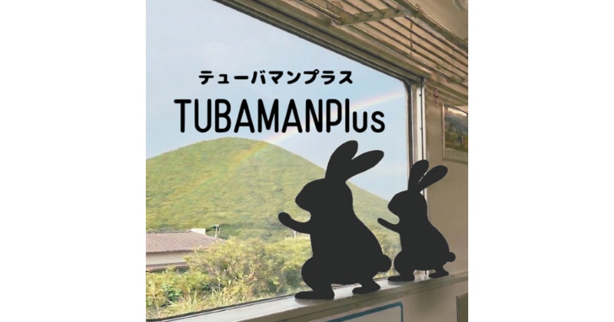 CATEGORY マウスピース（USED) | TUBAMANPlus