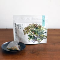 01.透_ティーバッグ（500ml用）