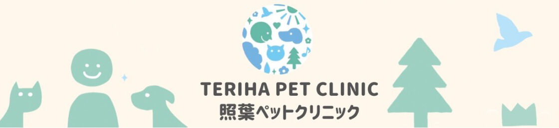 terihapetSTORE