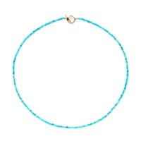 Panakeia Turquoise Necklace K10YG