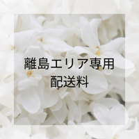 離島エリア送料３００円