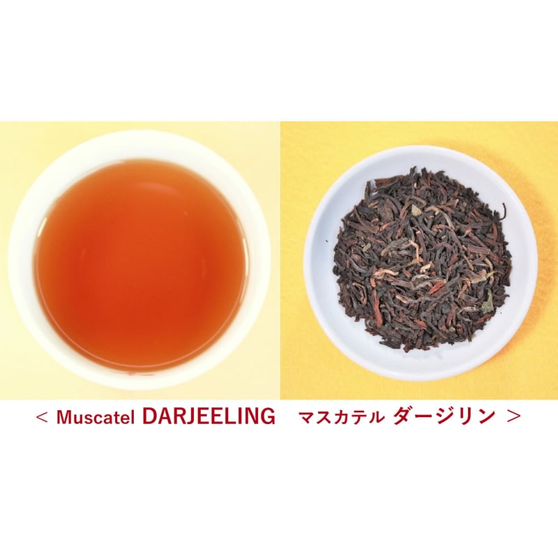 リーフティー お試しアソート | Tea-Develop / ティーデ