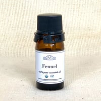 フェンネル