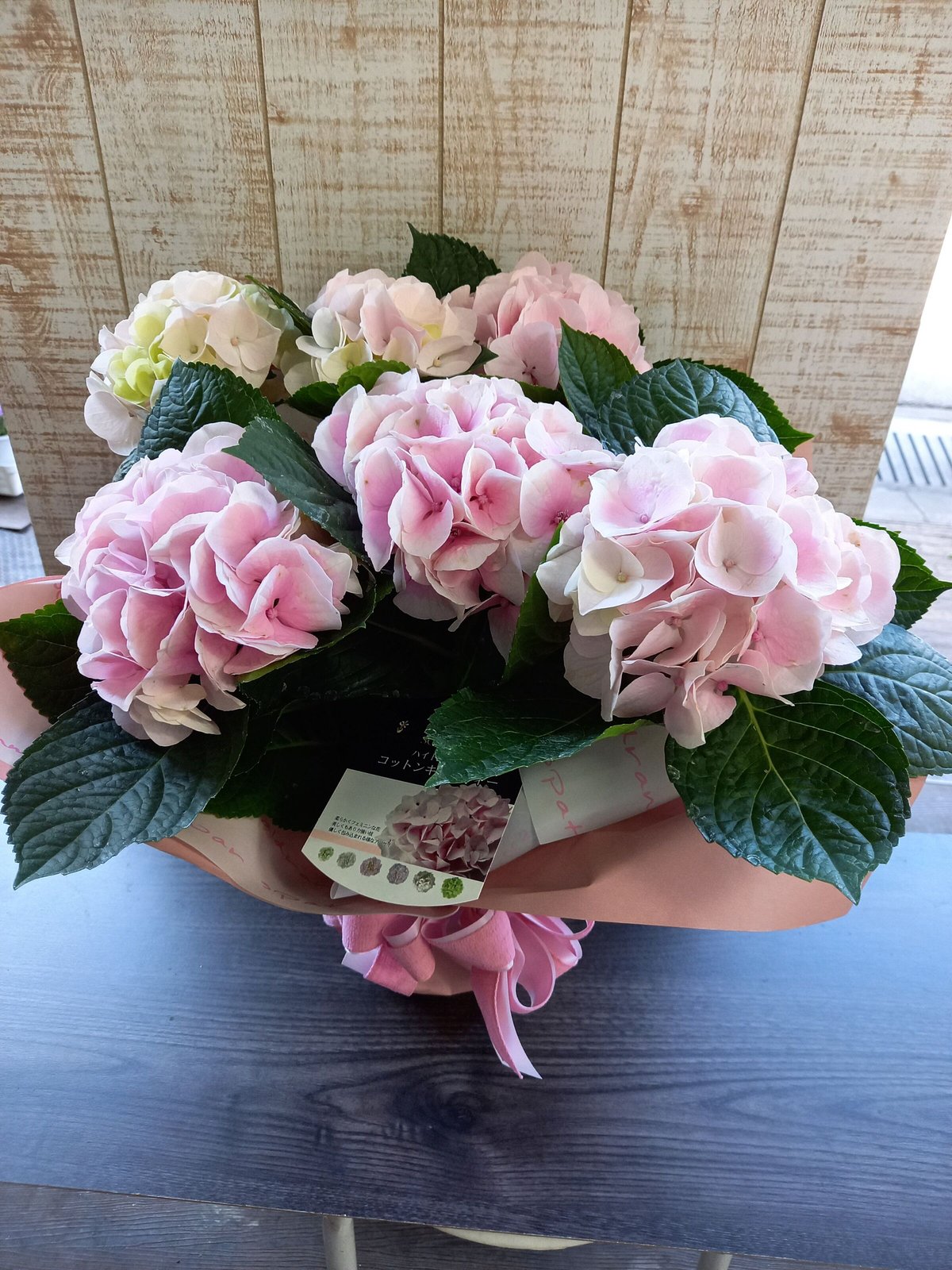 紫陽花＆スワロフスキー＆コットンパール˚✧₊ 寝かしつける