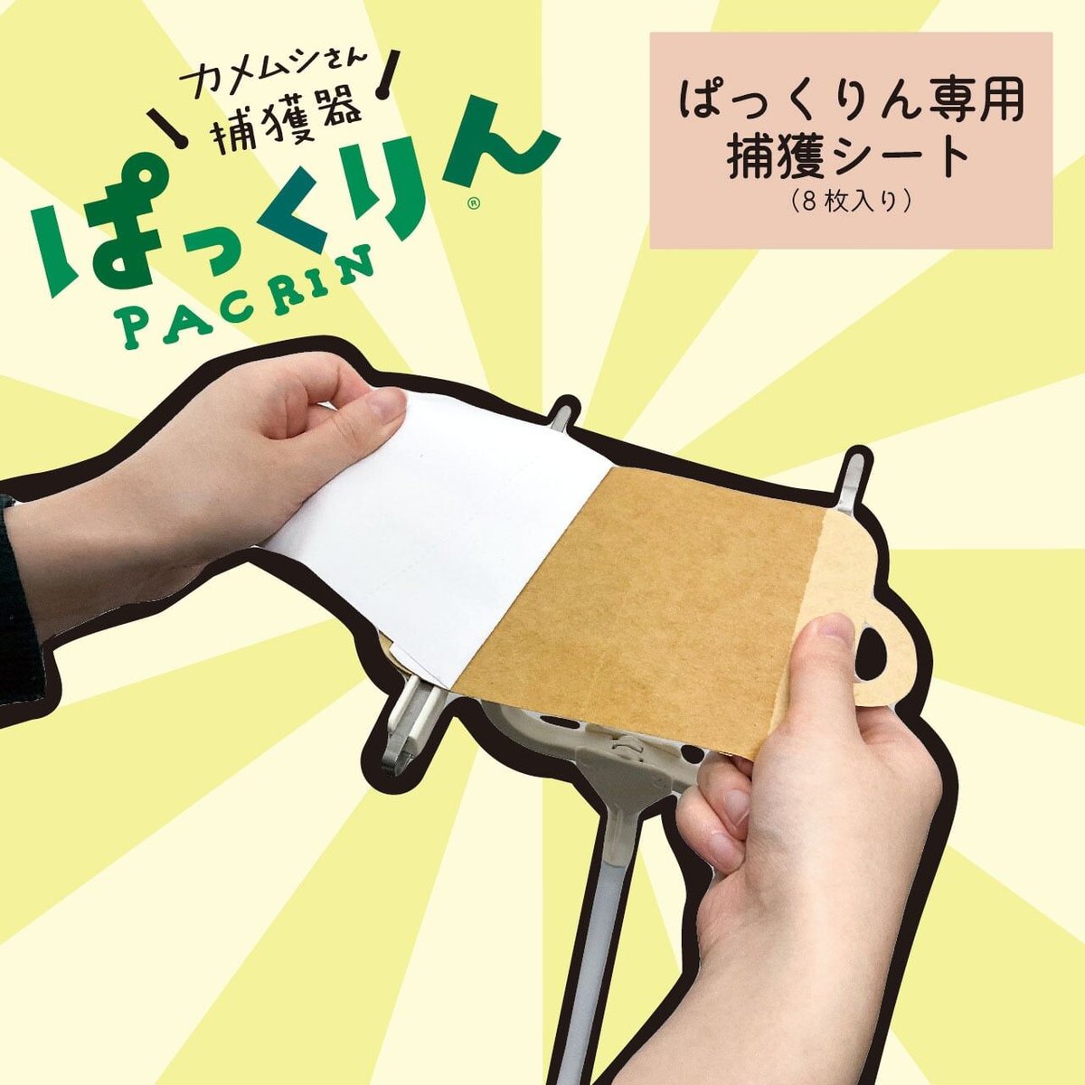 カメムシさん。専用 ぱっくりん専用捕獲シート（8枚入り） | カメムシさん対策室