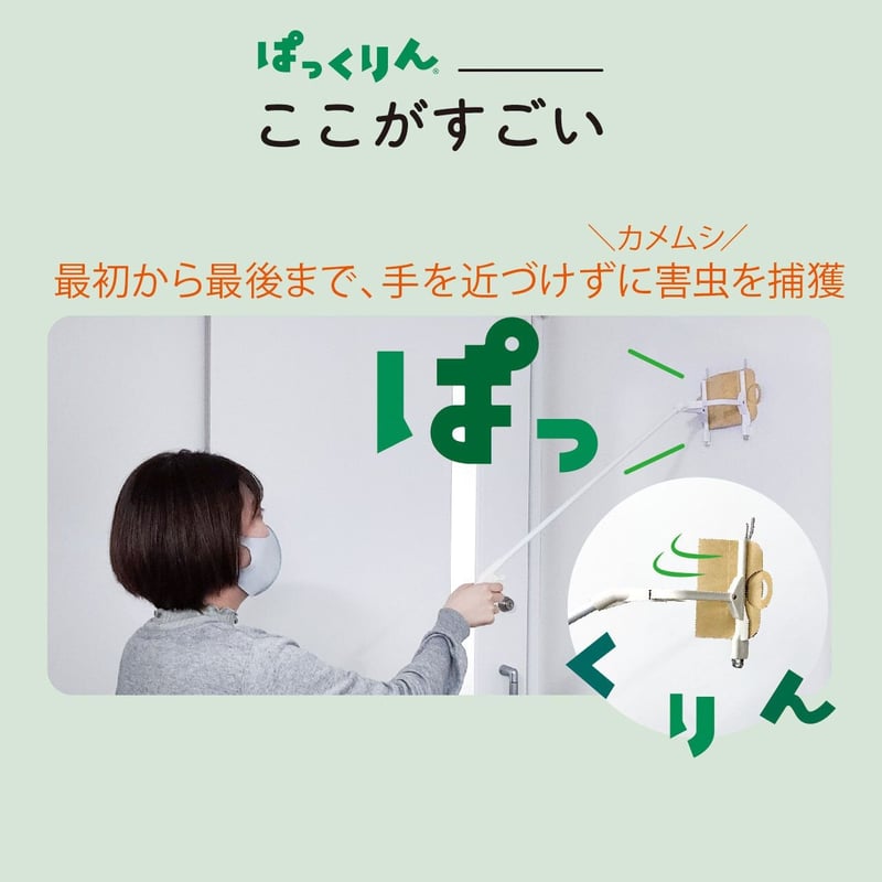 ぱっくりん専用捕獲シート（8枚入り） | カメムシさん対策室