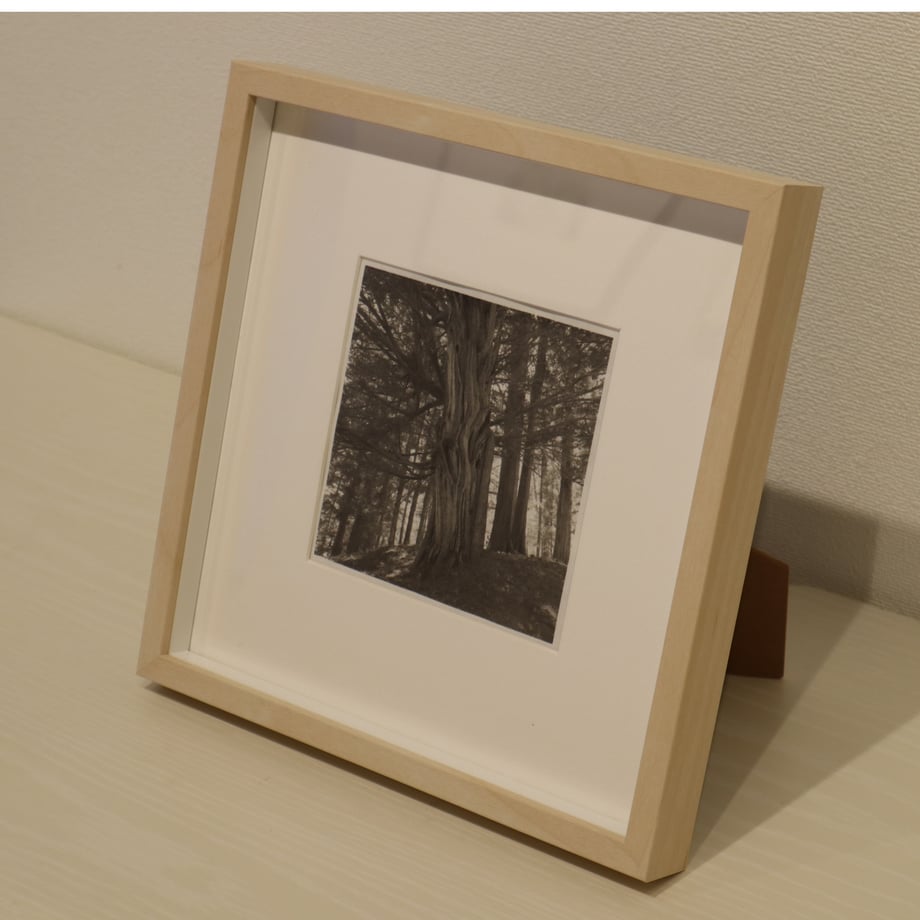 65b22c6835edb7003179f332